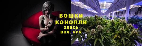 твердый Корсаков