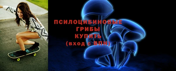гидра Карталы
