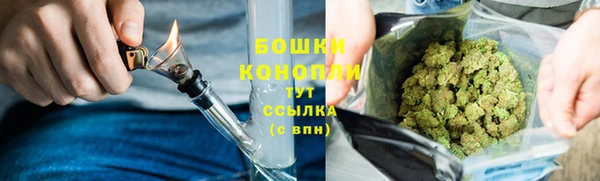 гидра Карталы
