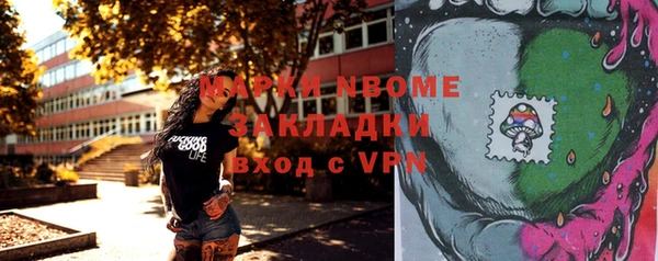 стаф Костерёво