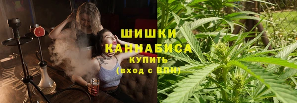 стаф Костерёво