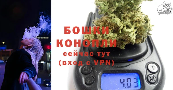 твердый Корсаков